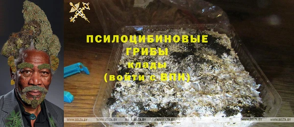 а пвп мука Абаза