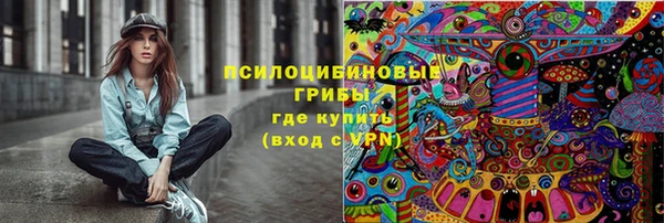 а пвп мука Абаза