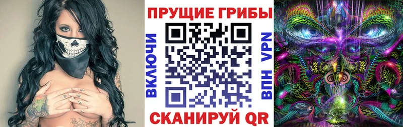Псилоцибиновые грибы Psilocybe  Яблоновский 