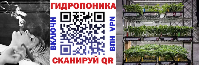 Бошки марихуана конопля  дарк нет формула  Яблоновский 